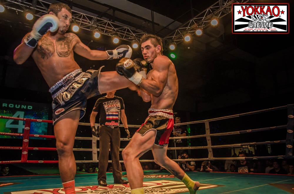 YOKKAO 16 hits Argentina!-YOKKAO Europe