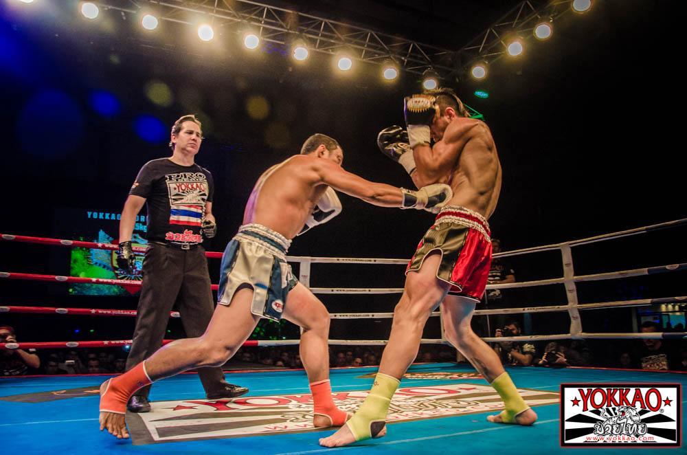 YOKKAO 16 videos Unlocked and Upcoming News!-YOKKAO Europe