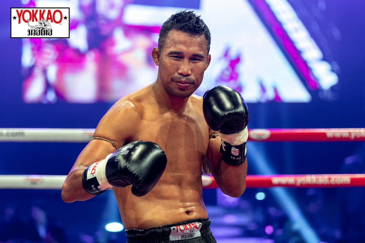 YOKKAO Legacy: Singdam Now on YouTube