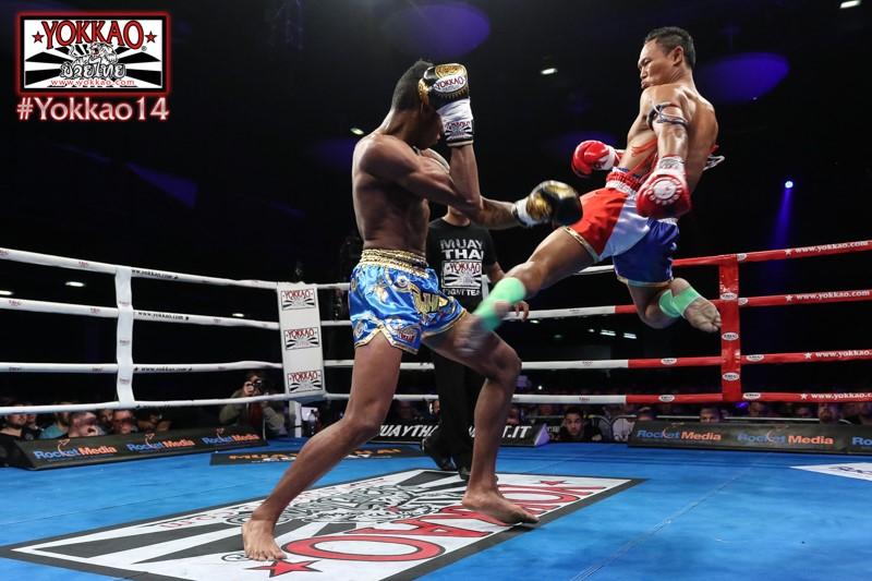 YOKKAO 14 - YOKKAO 15 Quick Results-YOKKAO Europe