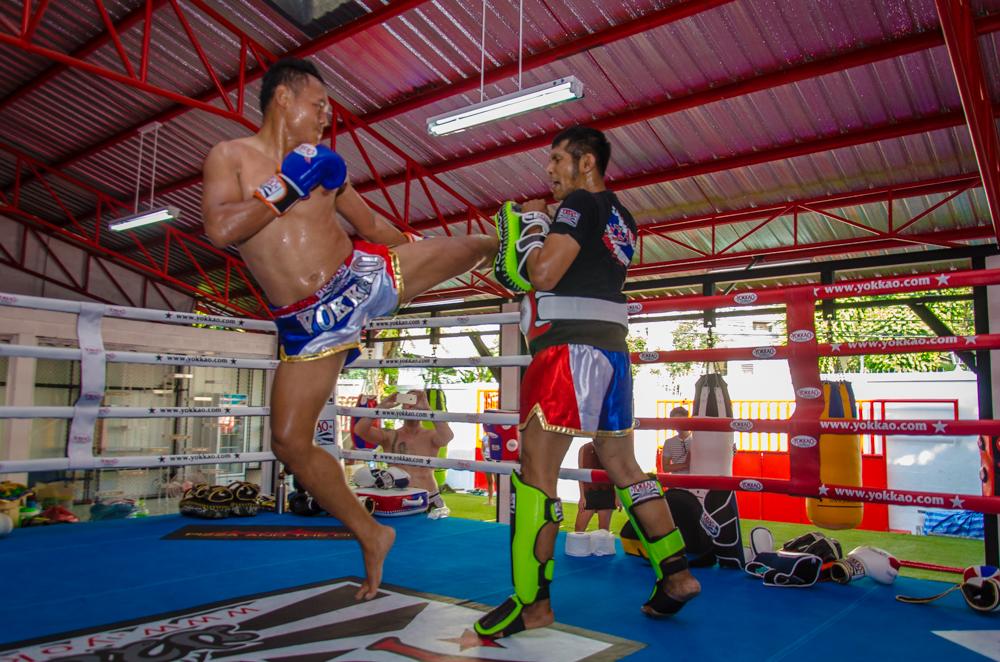 YOKKAO headed to USA with Saenchai in January/February 2017!-YOKKAO Europe
