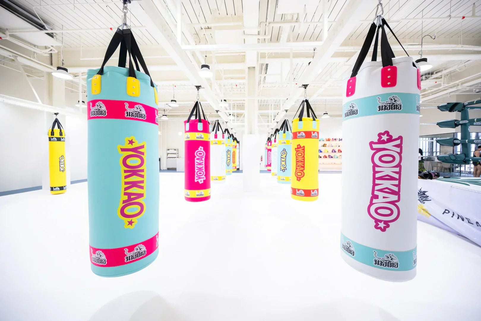 YOKKAO | Pineapple MMA: Setting the New Global Standard for Muay Thai Gyms-YOKKAO Europe