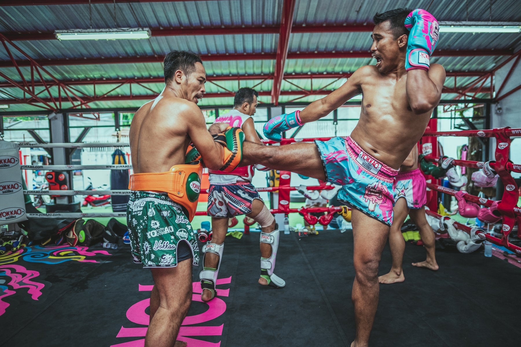 YOKKAO to Release Limited Quantities For All Future Collections