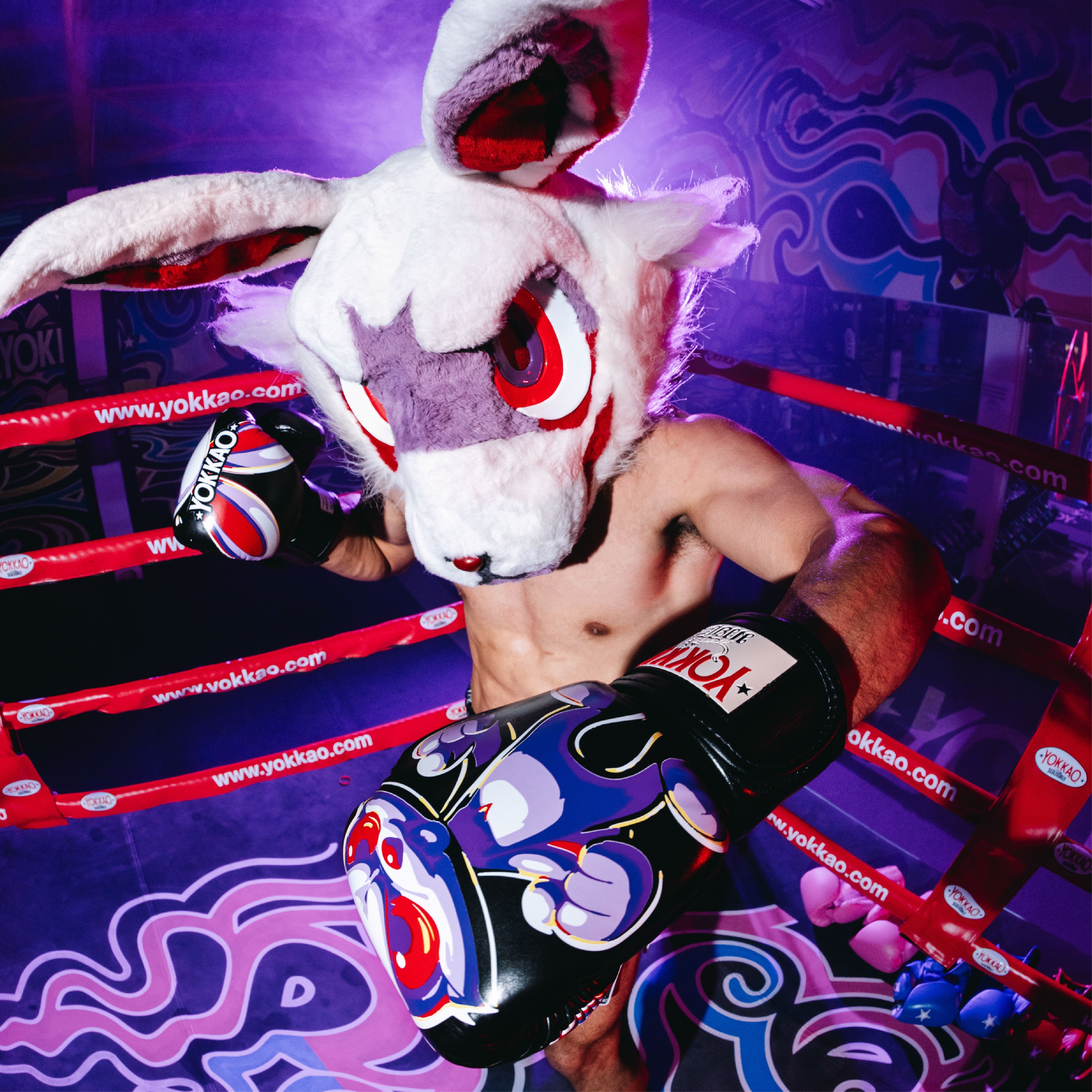 Gants de boxe lapin en colère