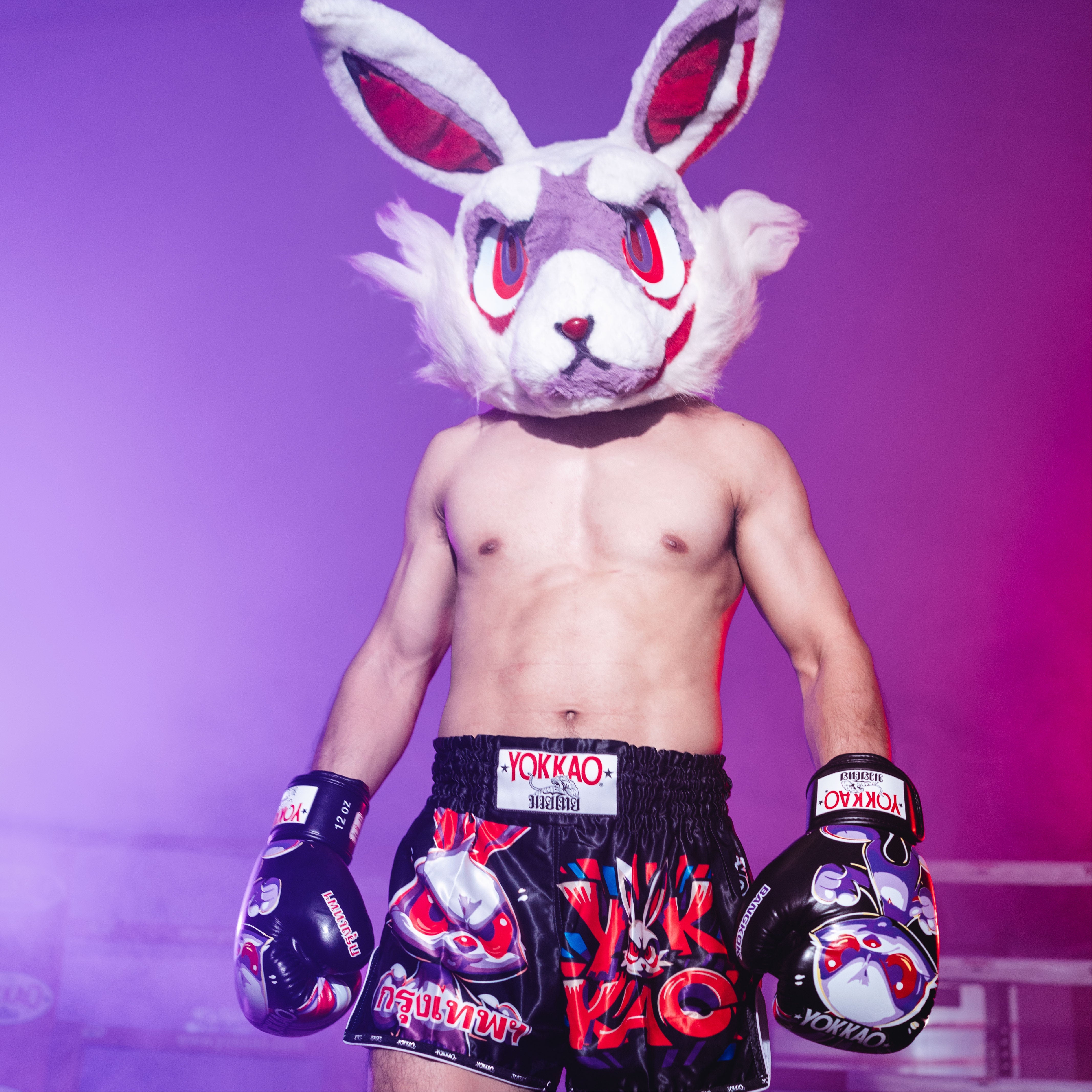 Gants de boxe lapin en colère