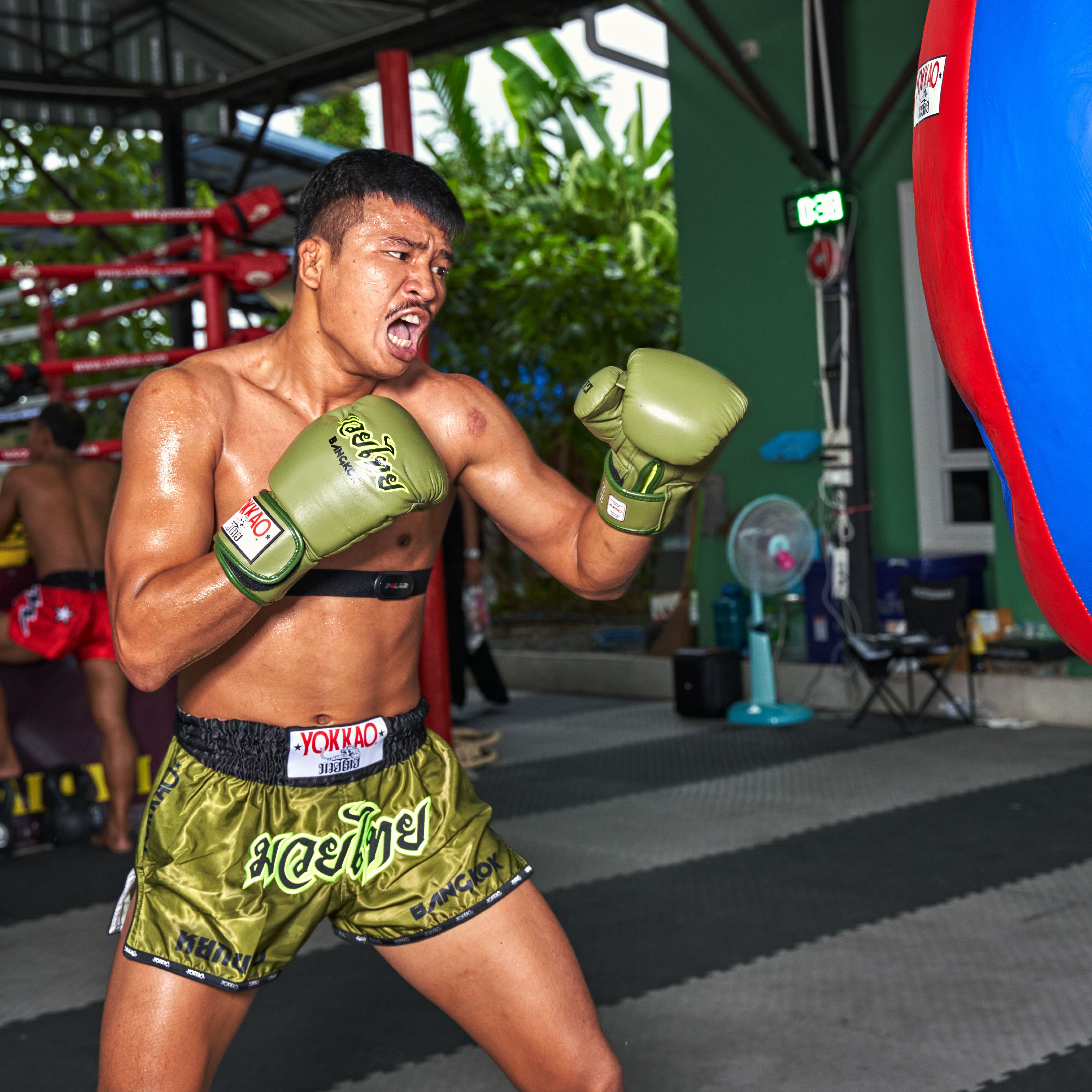Pantaloncini Muay Thai Late Show
