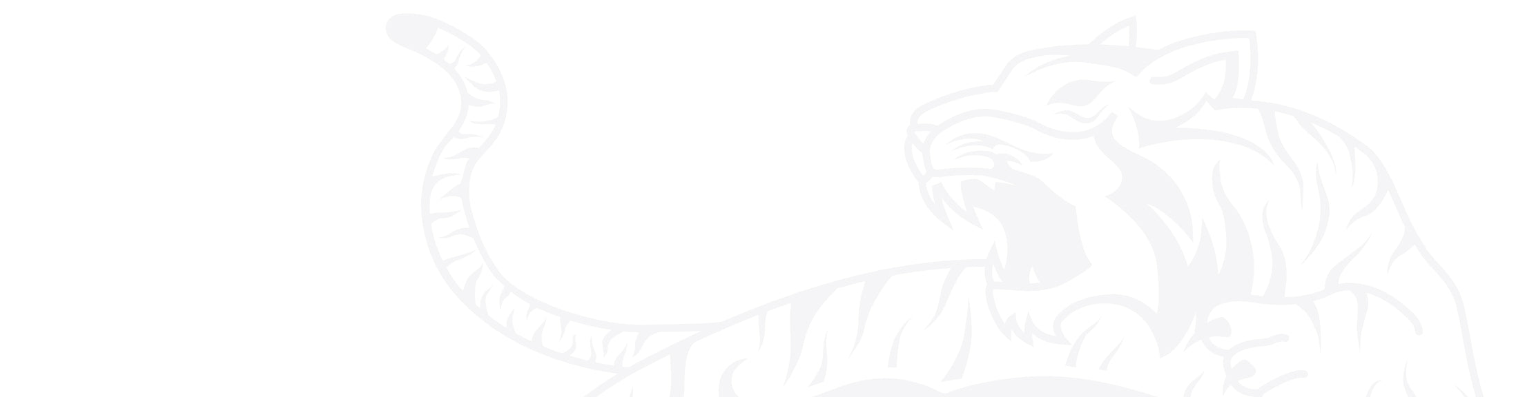 YOKKAO gym interior view