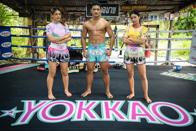 Kicking boxing training image