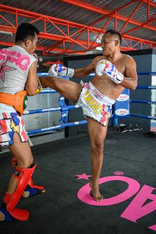 Muay Thai kicks in action