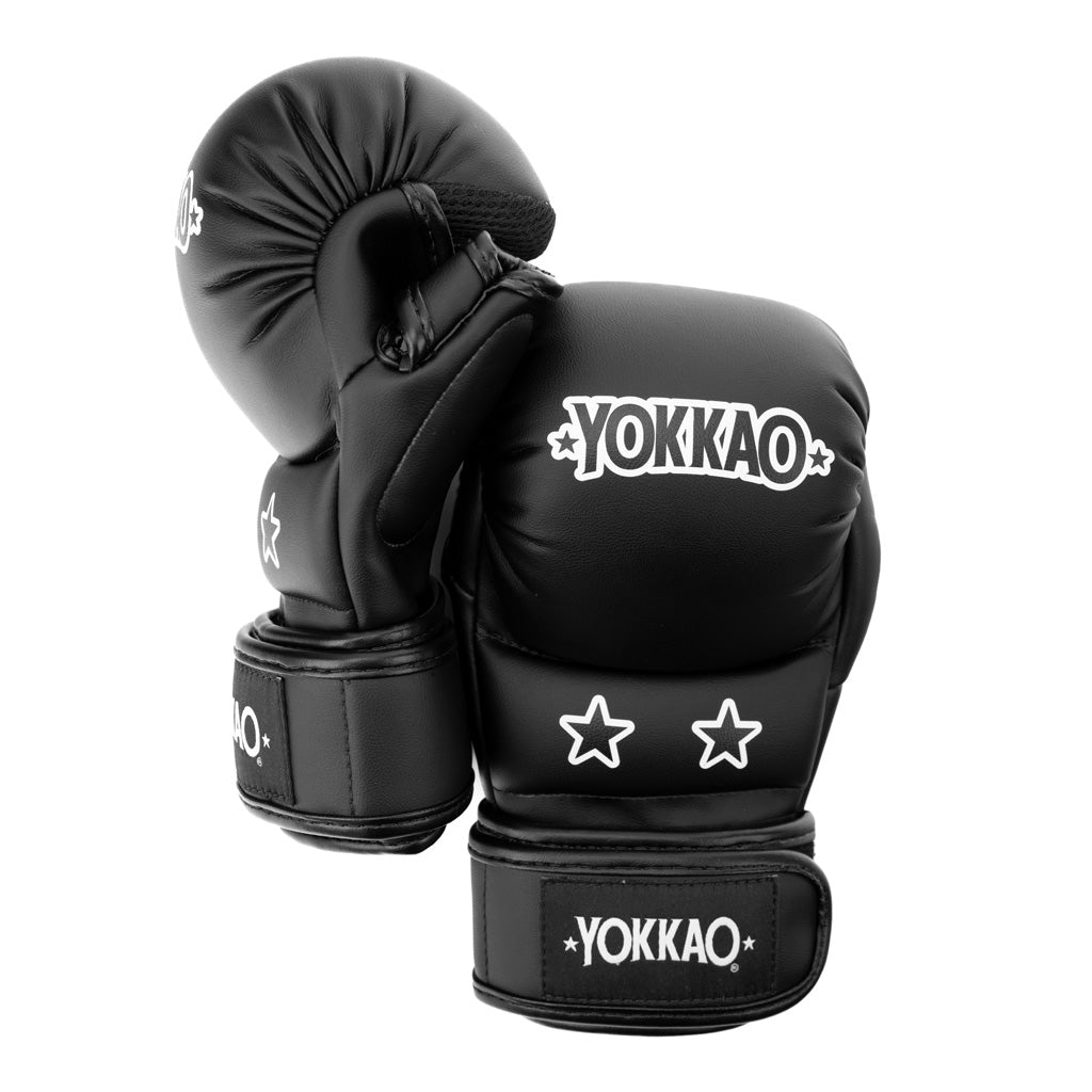 Guanti Ground MMA Sparring