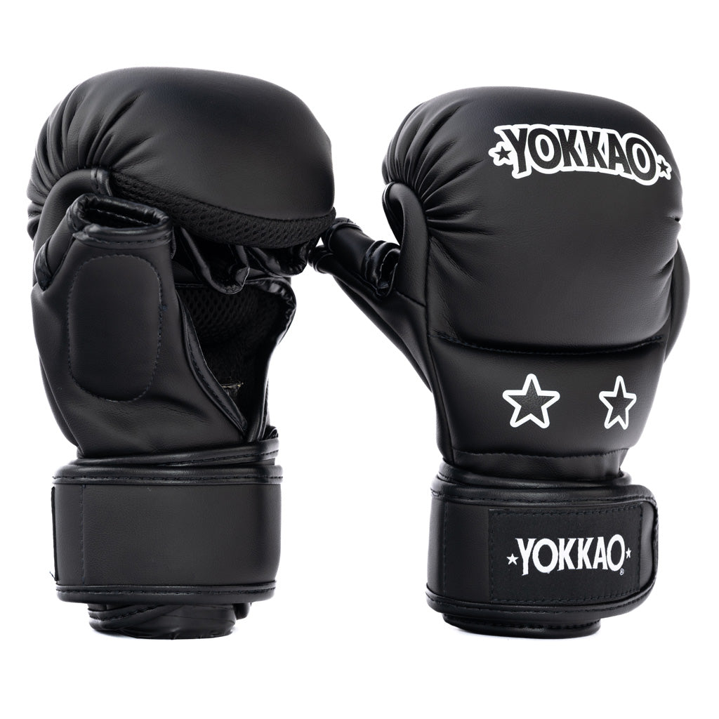 Guanti Ground MMA Sparring