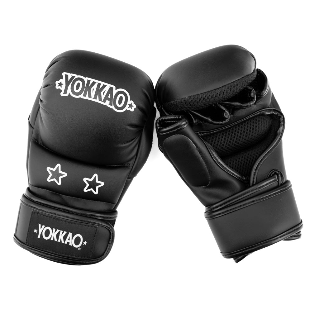 Guanti Ground MMA Sparring