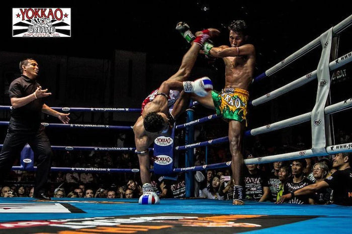 Muay Thai Fighters Ready Stance
