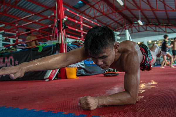 Why Planks are Great for Muay Thai!