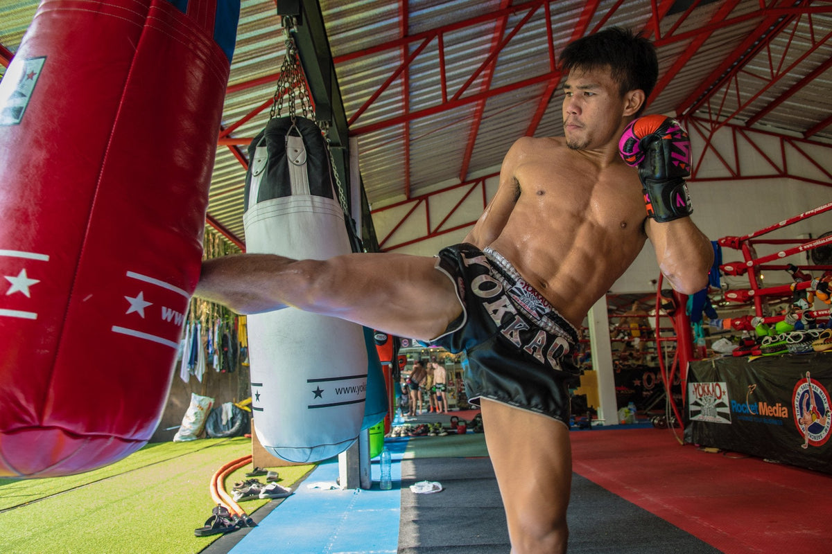 YOKKAO Next Generation Goes to Southampton UK!-YOKKAO Europe