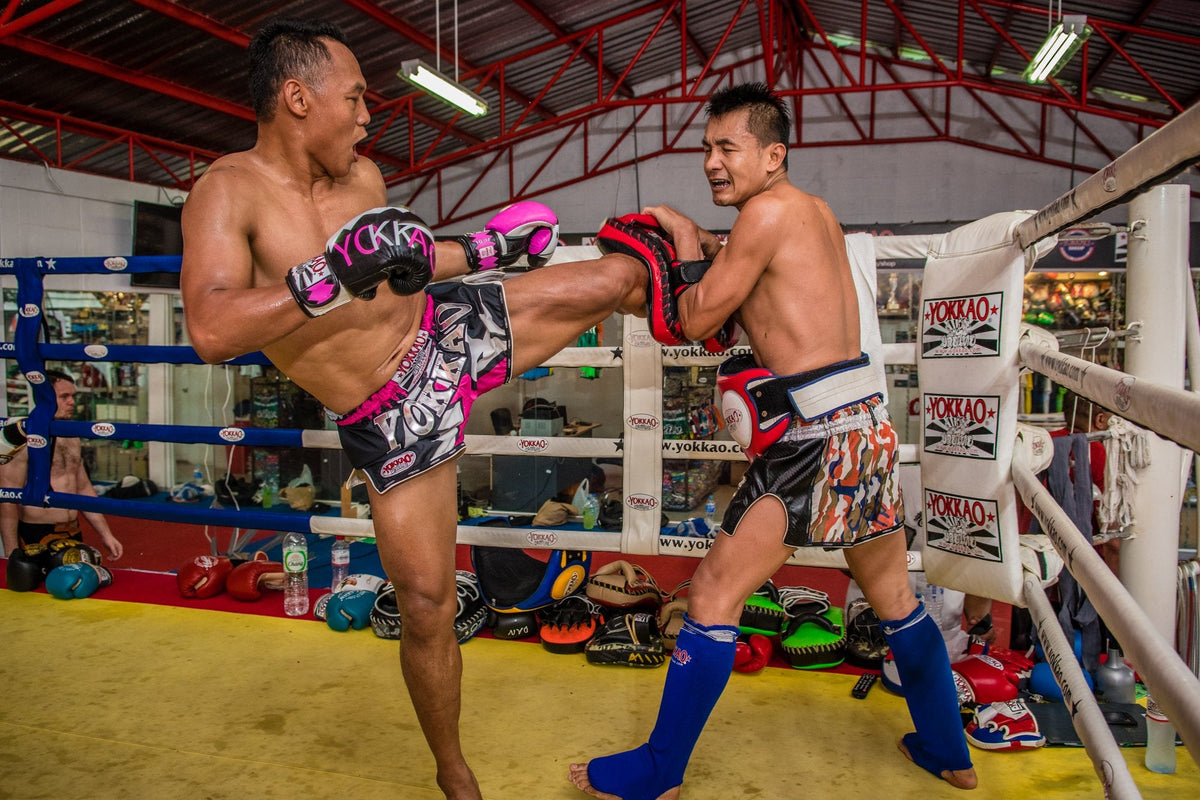 YOKKAO Seminar with Saenchai Confirmed for Canada in April!-YOKKAO Europe
