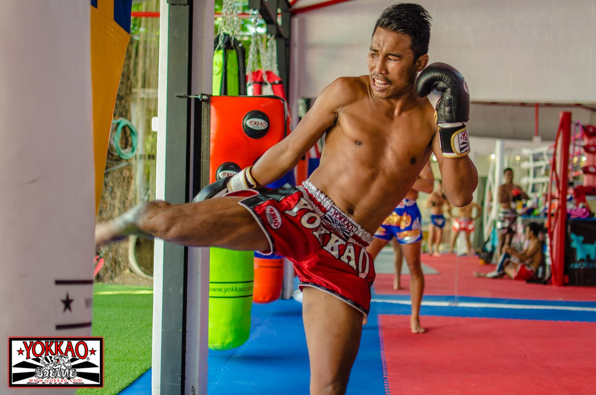 Singdam added to the YOKKAO US Seminar Tour!-YOKKAO Europe