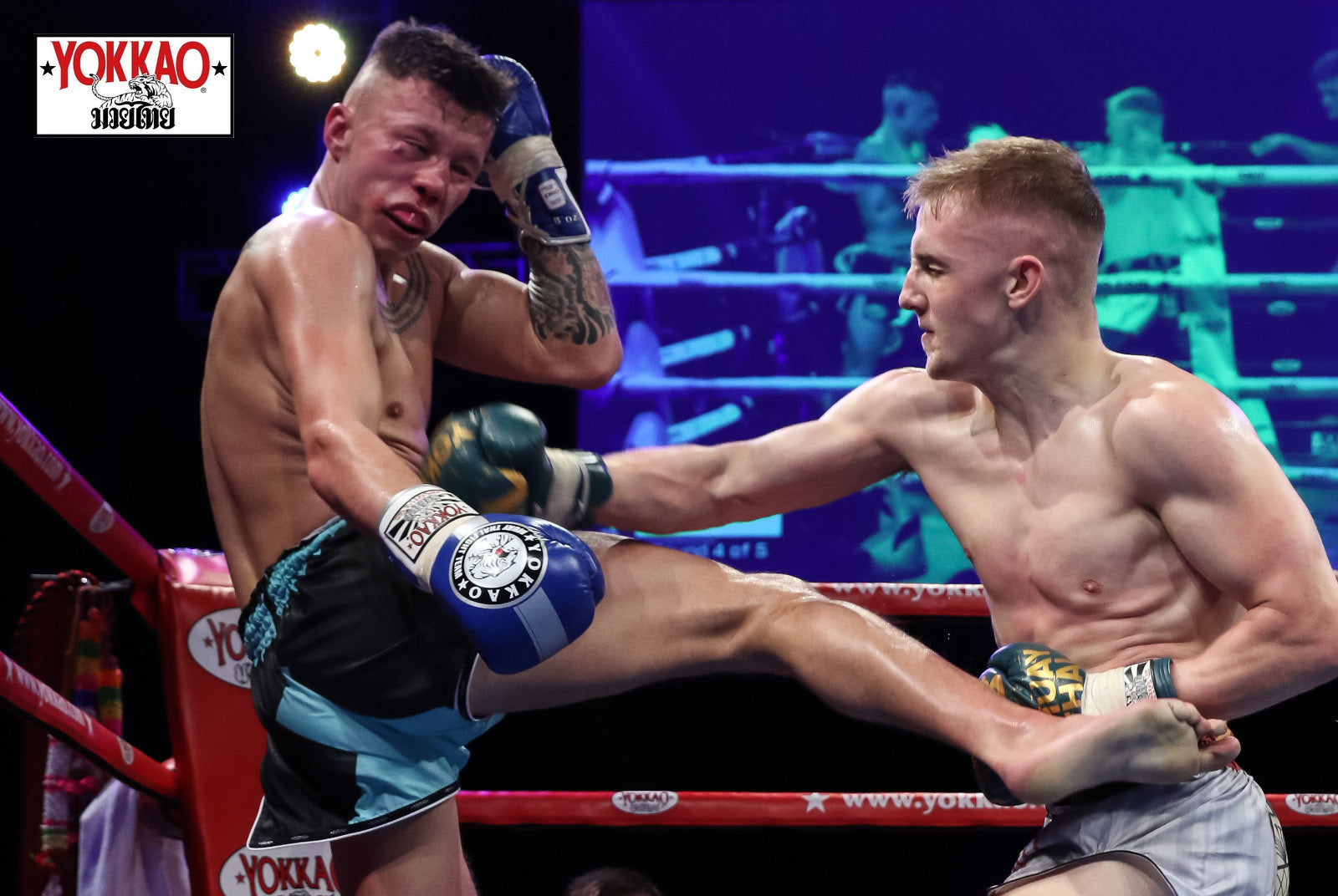 Muay Thai Styles Explained: Muay Mat-YOKKAO Europe