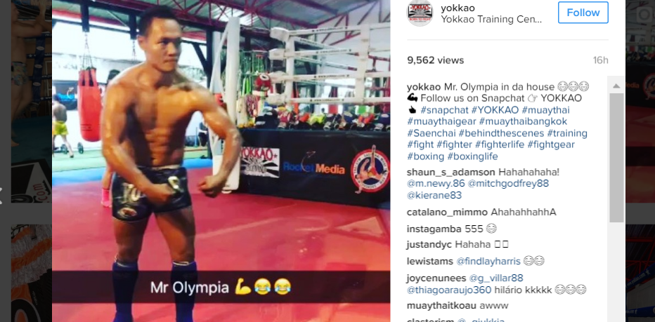 YOKKAO is on Snapchat!-YOKKAO Europe