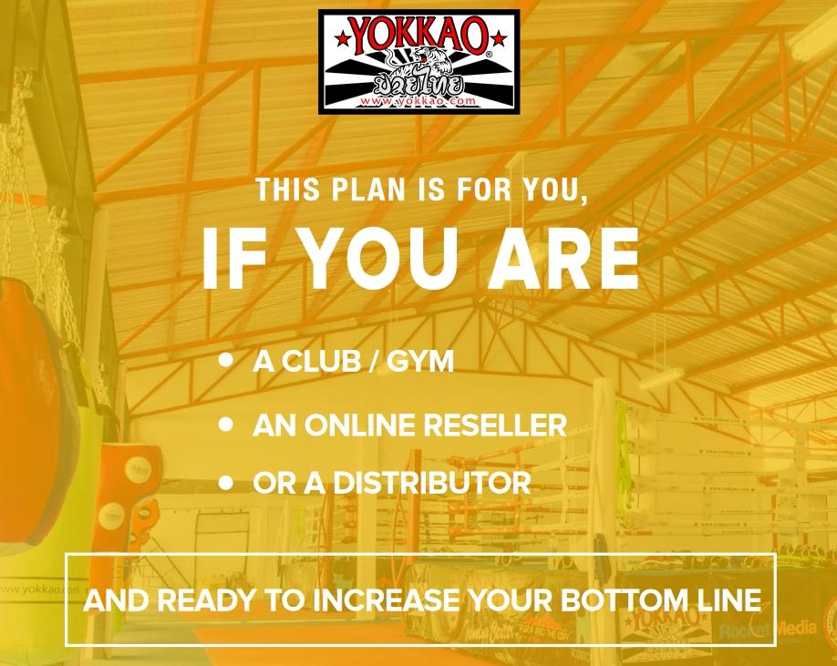 YOKKAO Launches Sales Plan for Authorized Stores-YOKKAO Europe