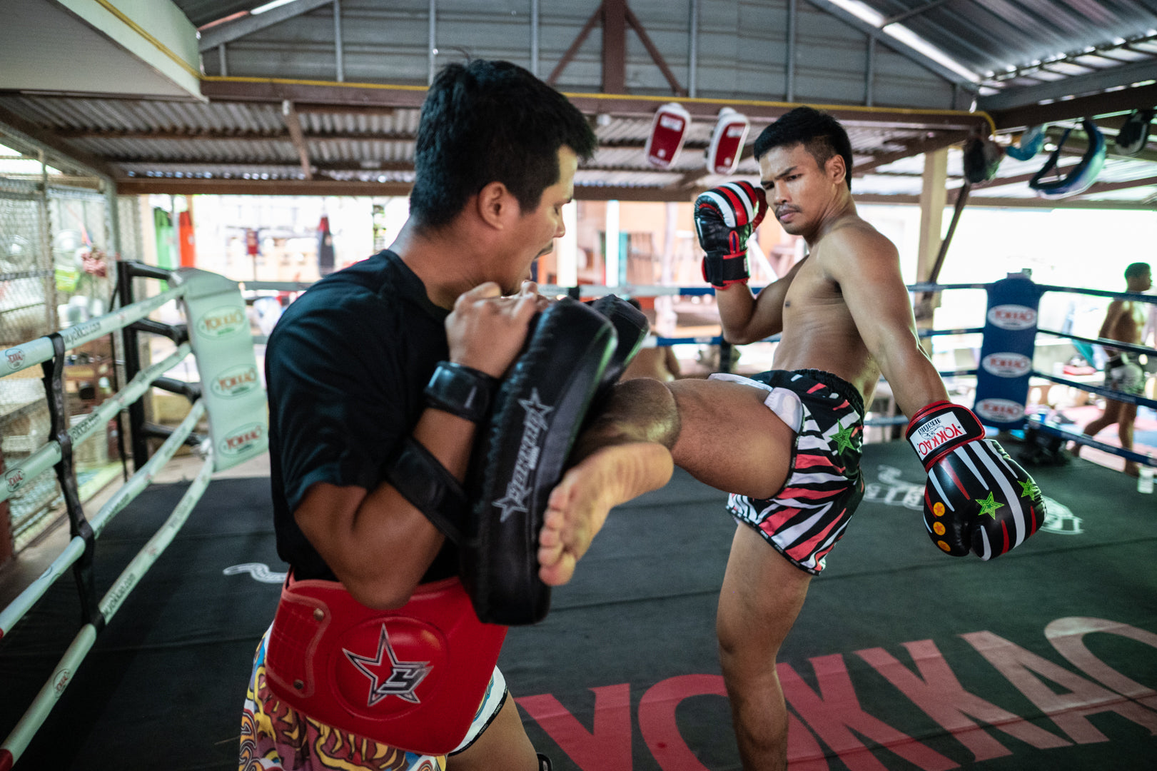 YOKKAO To Offer Sponsorship Package To Upcoming Fighters-YOKKAO Europe