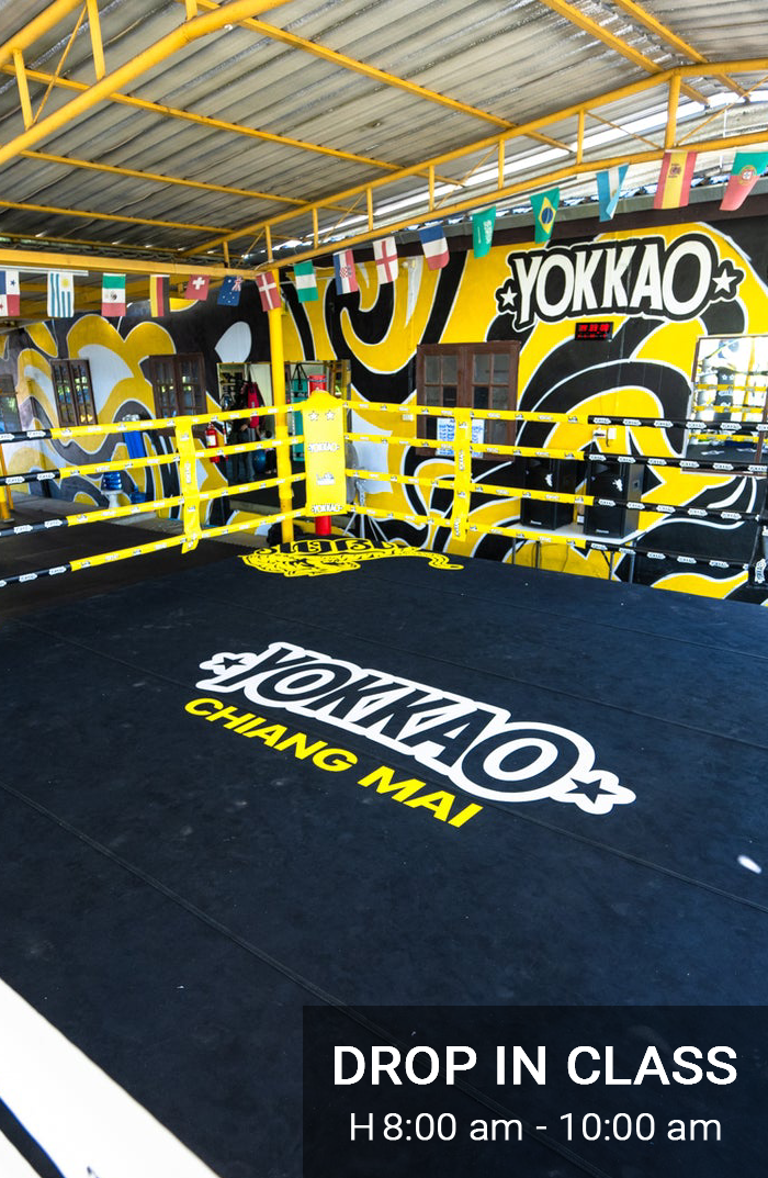 Yokkao Chiang Mai Morning Drop-In