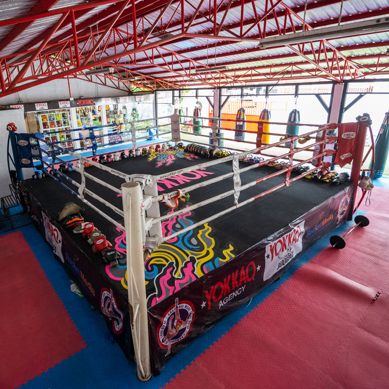 Ring Muay Thai Boxe Pugilato Completo